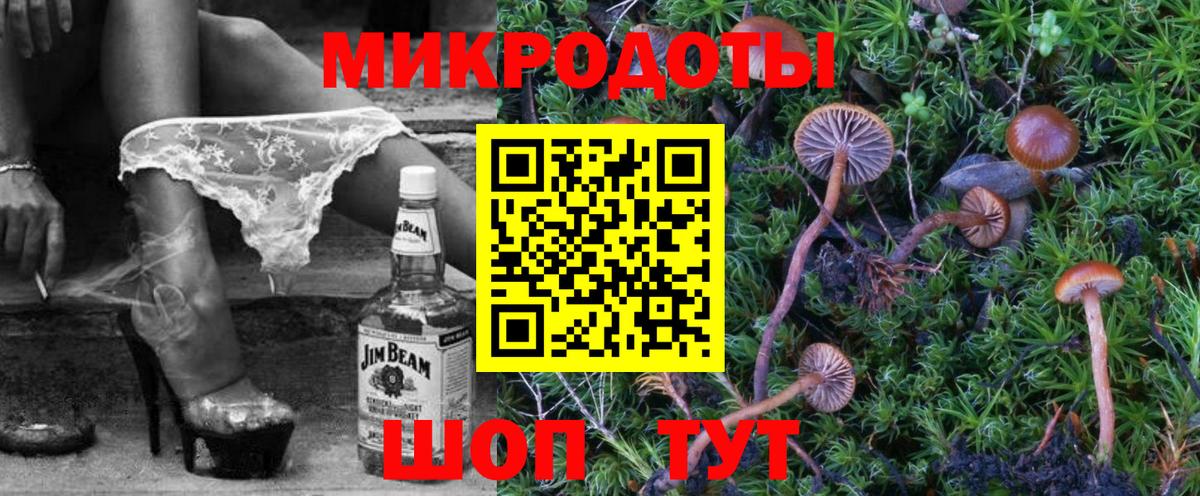 Галлюциногенные грибы Psilocybine cubensis Воркута