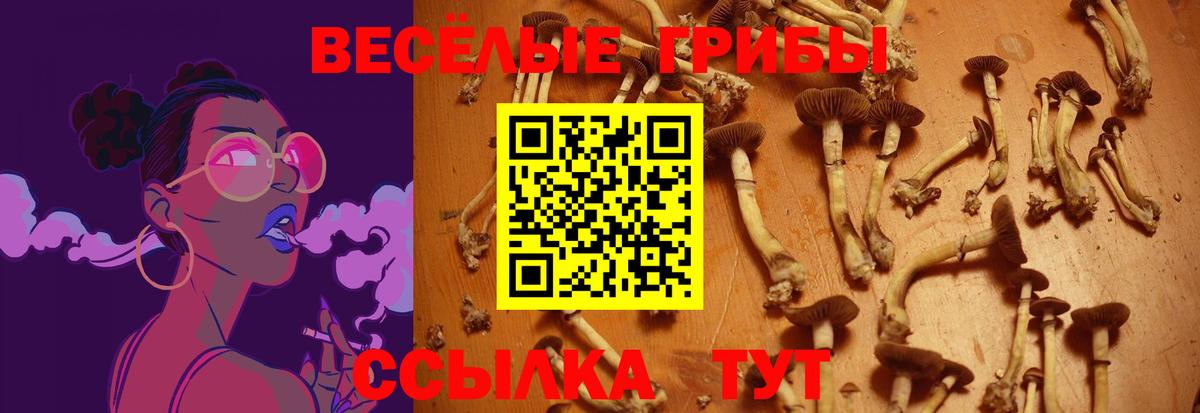 Воркута  Псилоцибиновые грибы GOLDEN TEACHER  Вход с VPN  цена наркотик  Псилоцибиновые грибы GOLDEN TEACHER 